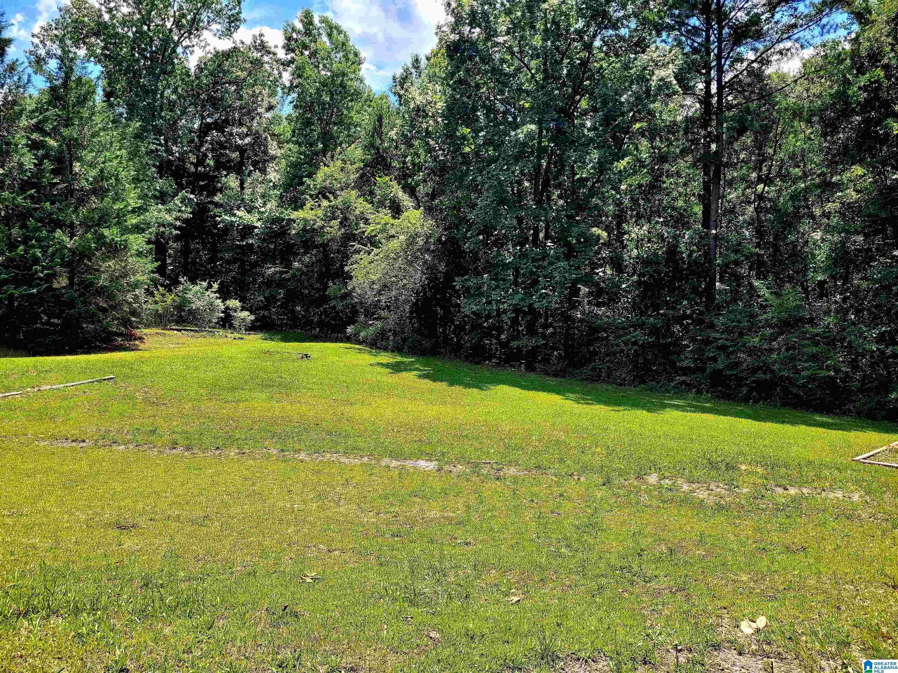 0 Crestview Road, Unit 1 Talladega, AL 35160 - Photo 1 of 4 Gallery Image 1
