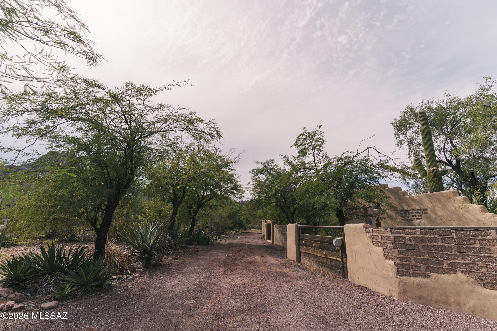 7943 West Pima Farms Road Tucson, AZ 85743 - Photo 39 of 39 road to back of property
