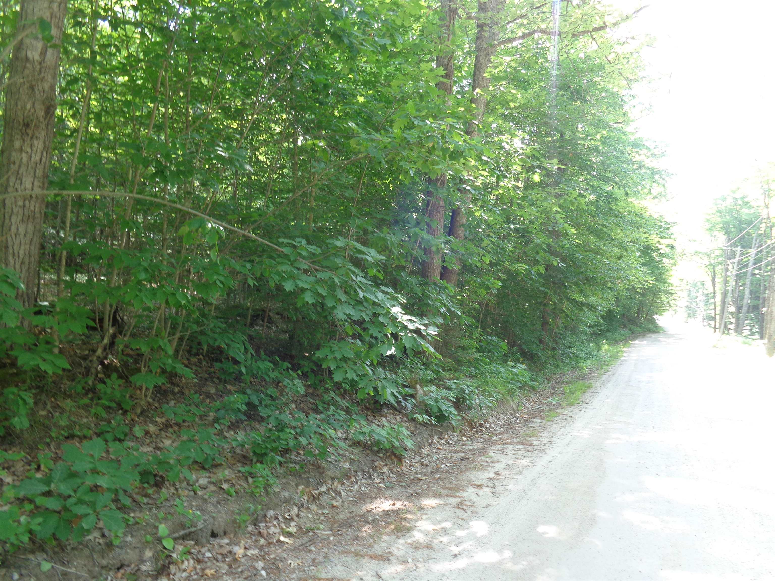 Lot 67-2 Littlefield Road, Unit 672 Danbury, NH 03230 - Photo 10 of 14