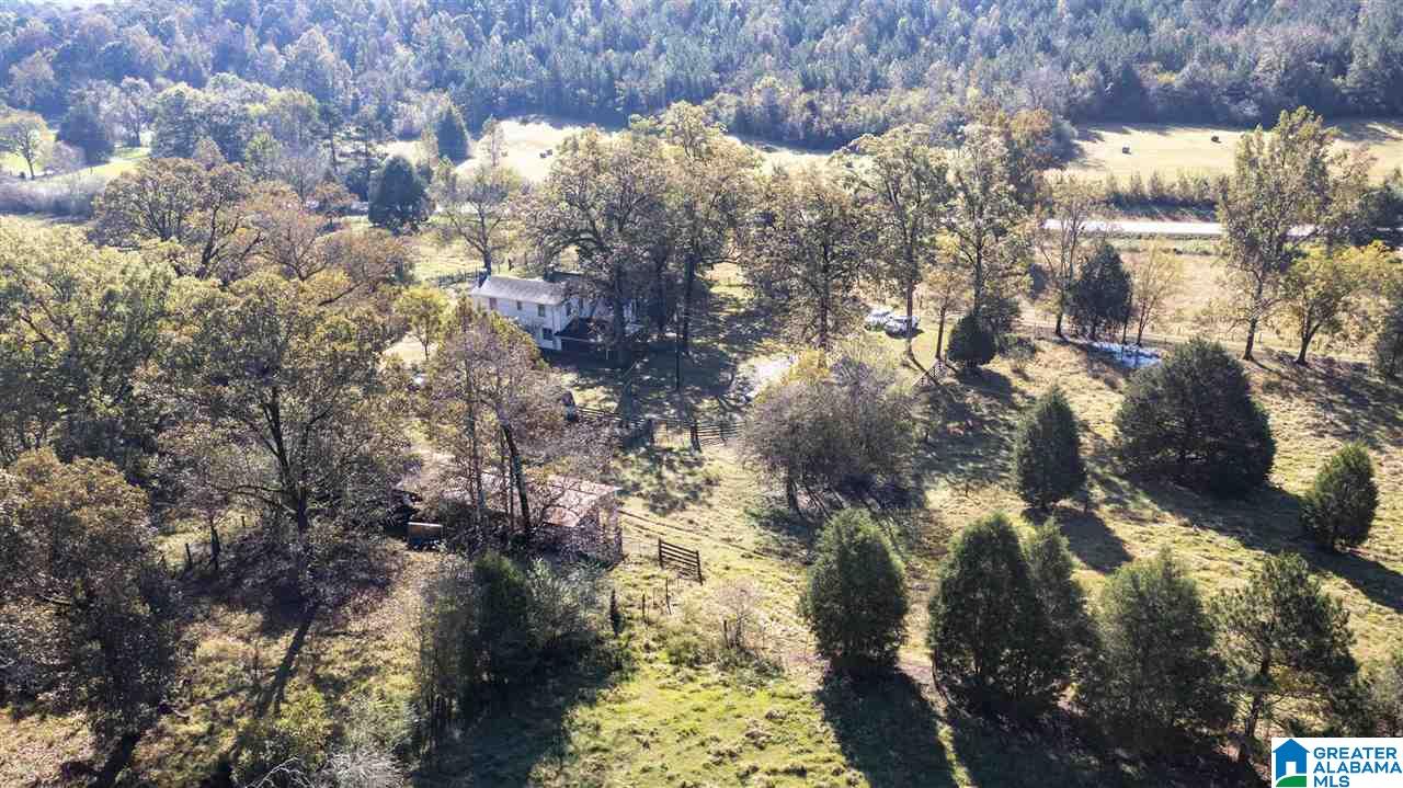 7725 Highway 144 Ragland, AL 35131 - Photo 50 of 50