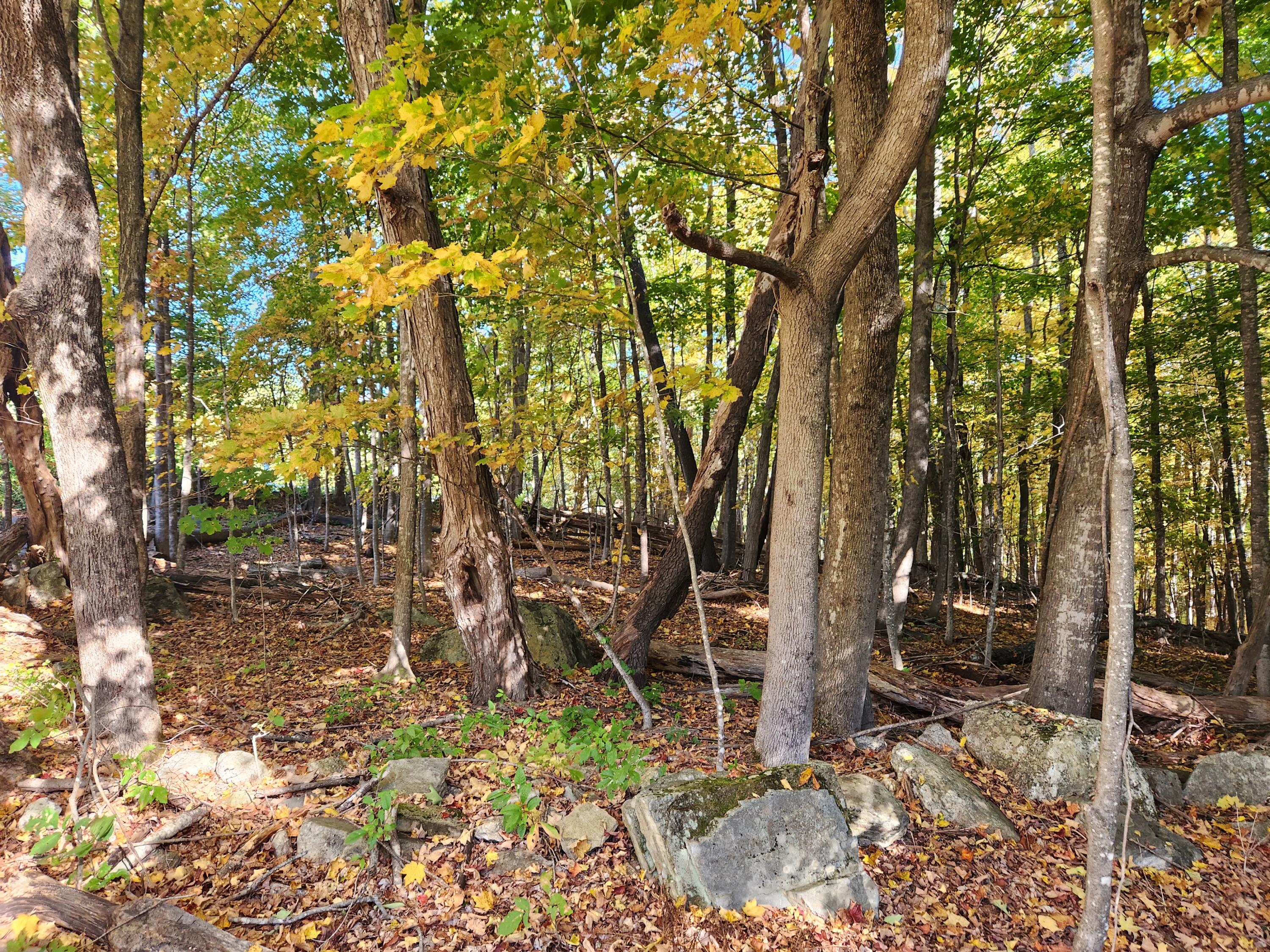 45 Station Road Hebron, ME 04238 - Photo 28 of 47 20251001_091206