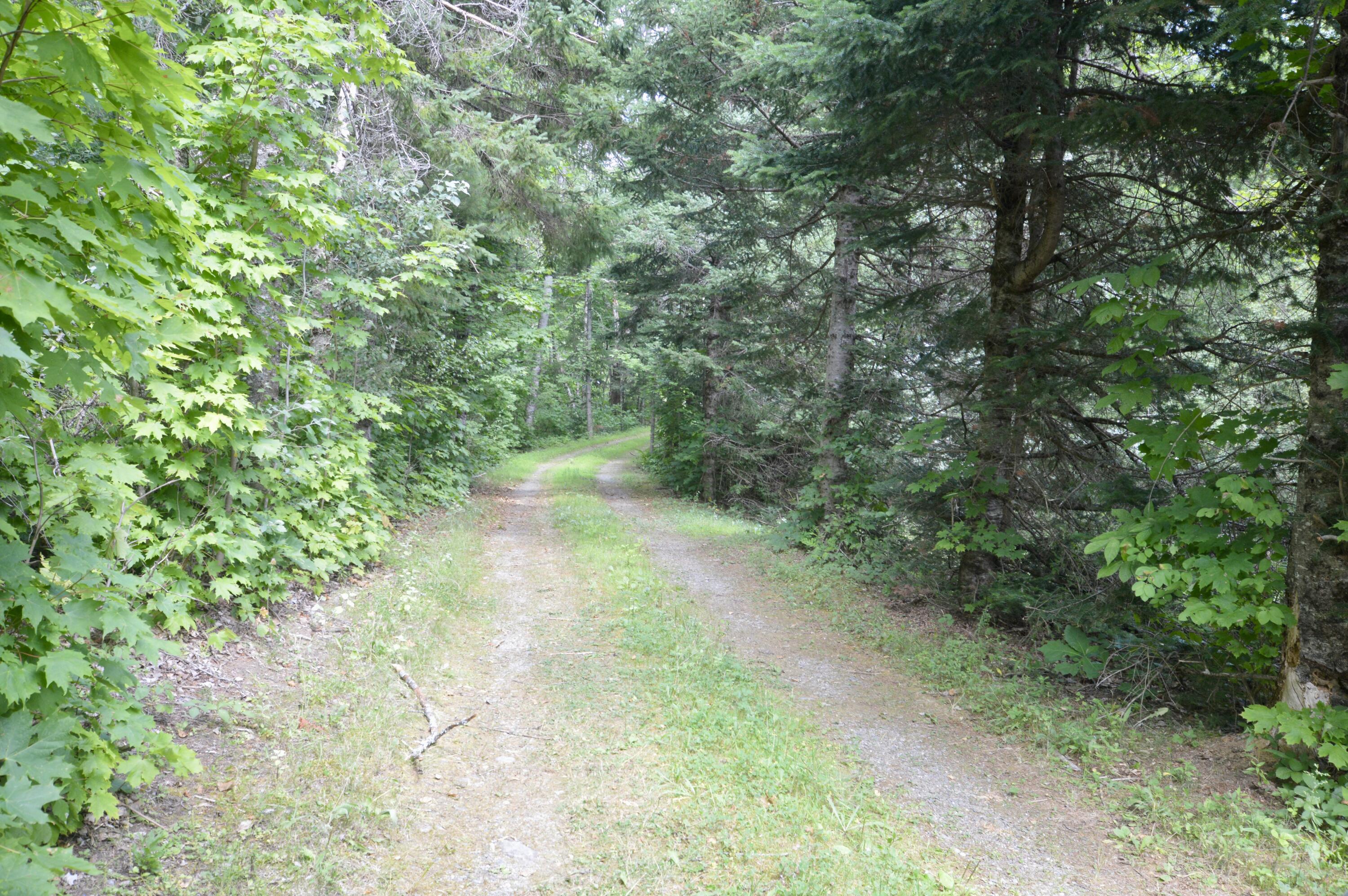 91 Curtis Road Etna, ME 04434 - Photo 36 of 37 DSC_0050