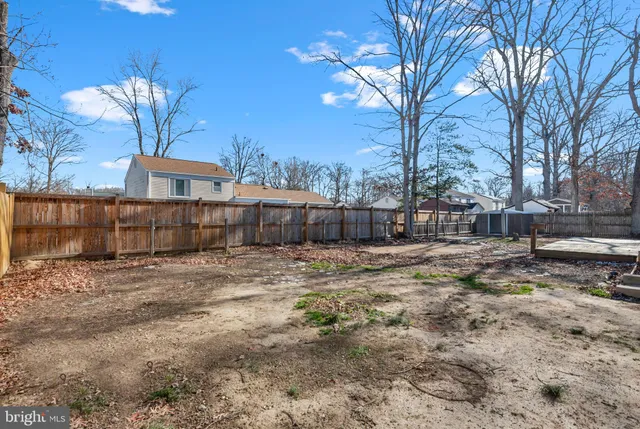 a view of a yard with a large tree