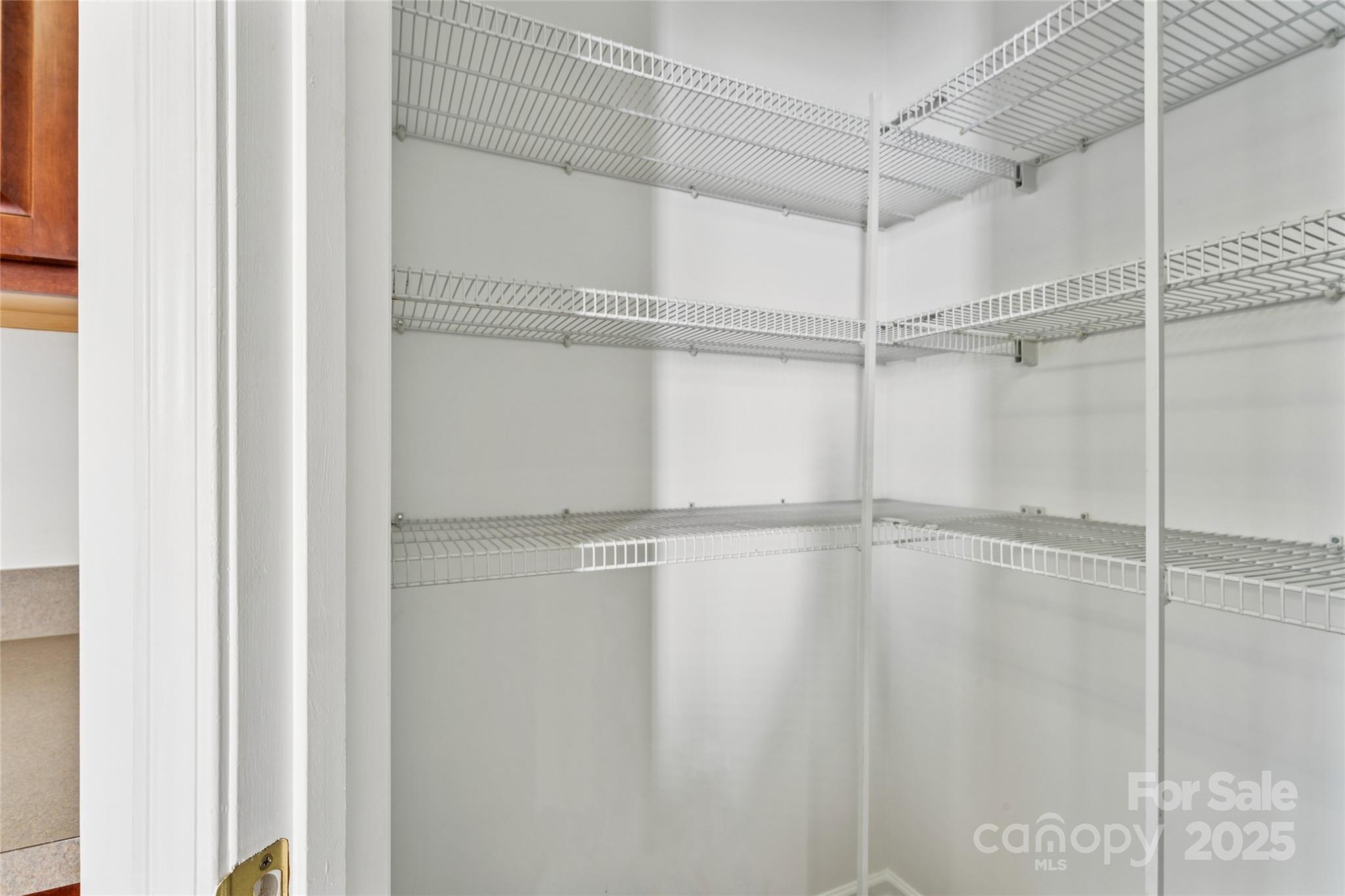 10032 Treeside Lane Matthews, NC 28105 - Photo 22 of 43 a view of a room with an empty walk in closet