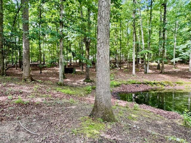 951 Harris Mill Road Rougemont, NC 27572 - Photo 76 of 89 IMG_3072