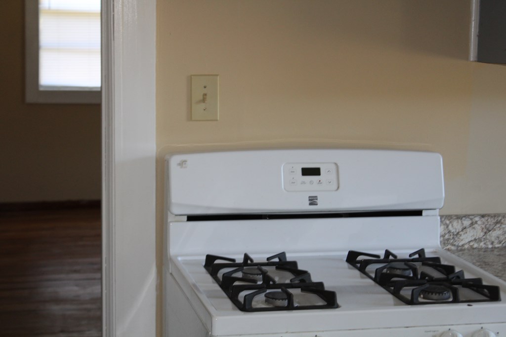 854 Gun Club Road Box Springs, GA 31801 - Photo 7 of 30 Gallery Image 7