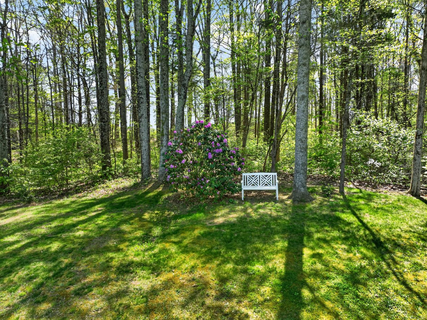 2179 Webb Road Brookville, IN 47012 - Photo 58 of 84 The woods provide nice shaded areas at the rear of the yard.