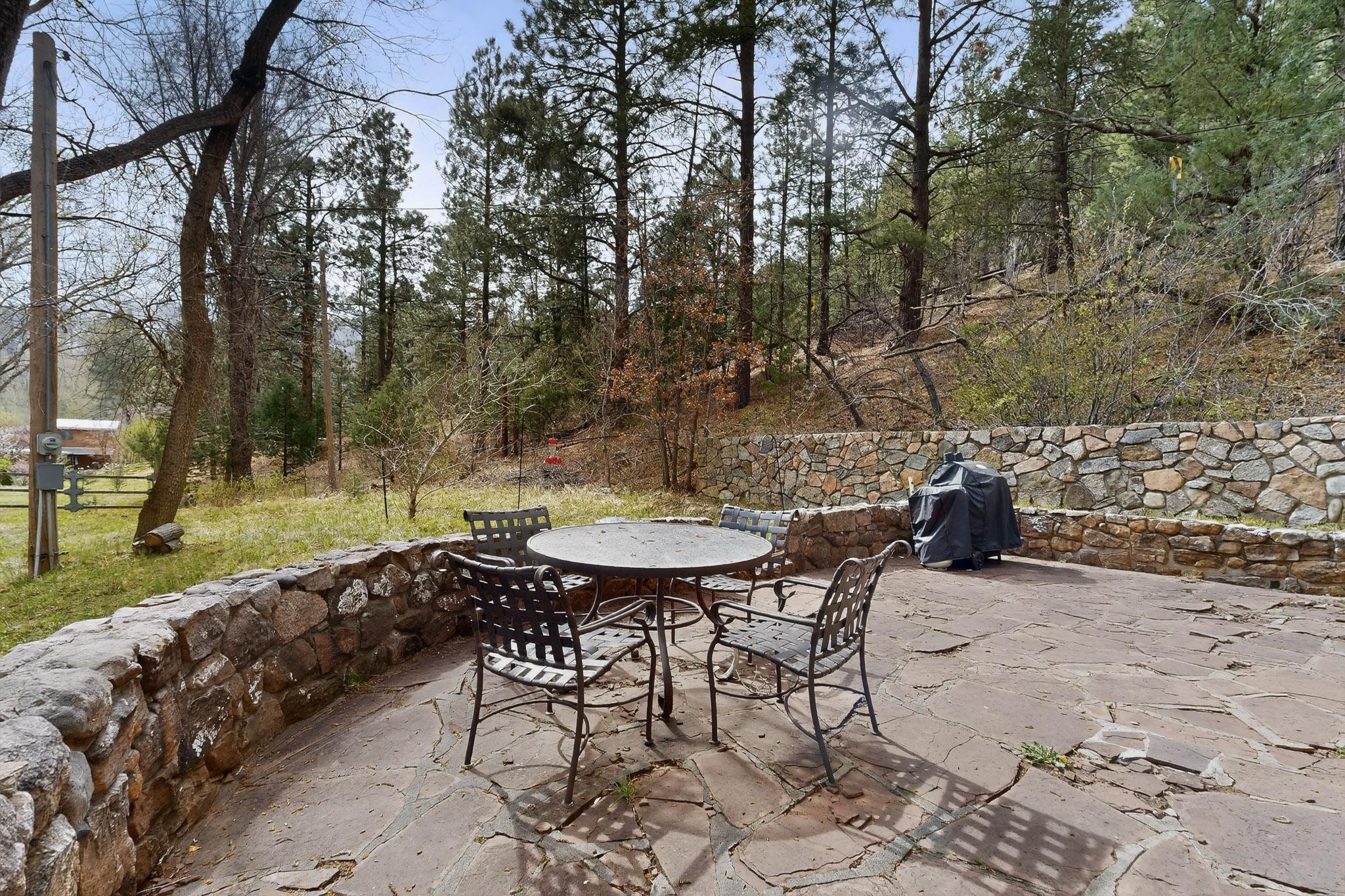 1 Mcferrin Taylor Road Pecos, NM 87552 - Photo 2 of 60