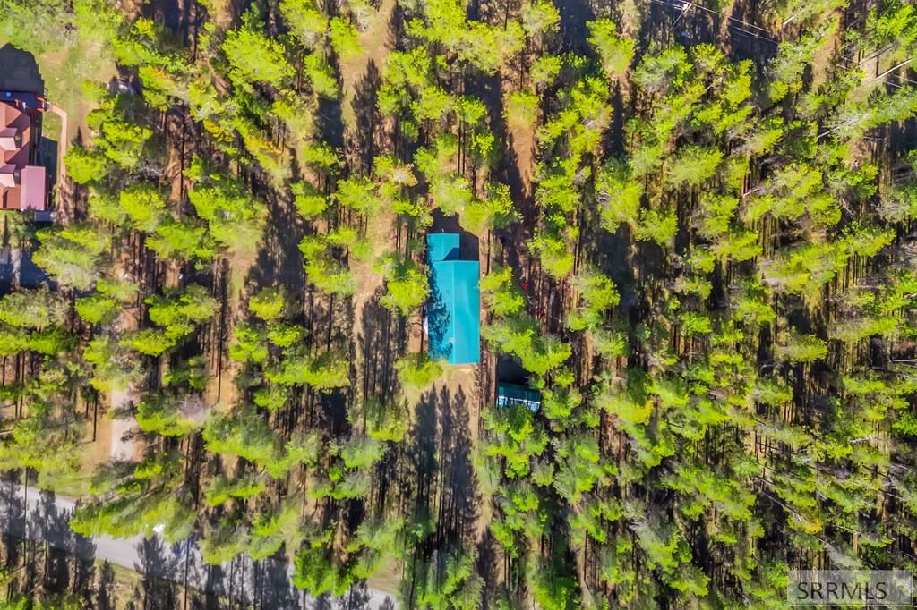 4018 Rancho McCrea Road Island Park, ID 83429 - Photo 23 of 28