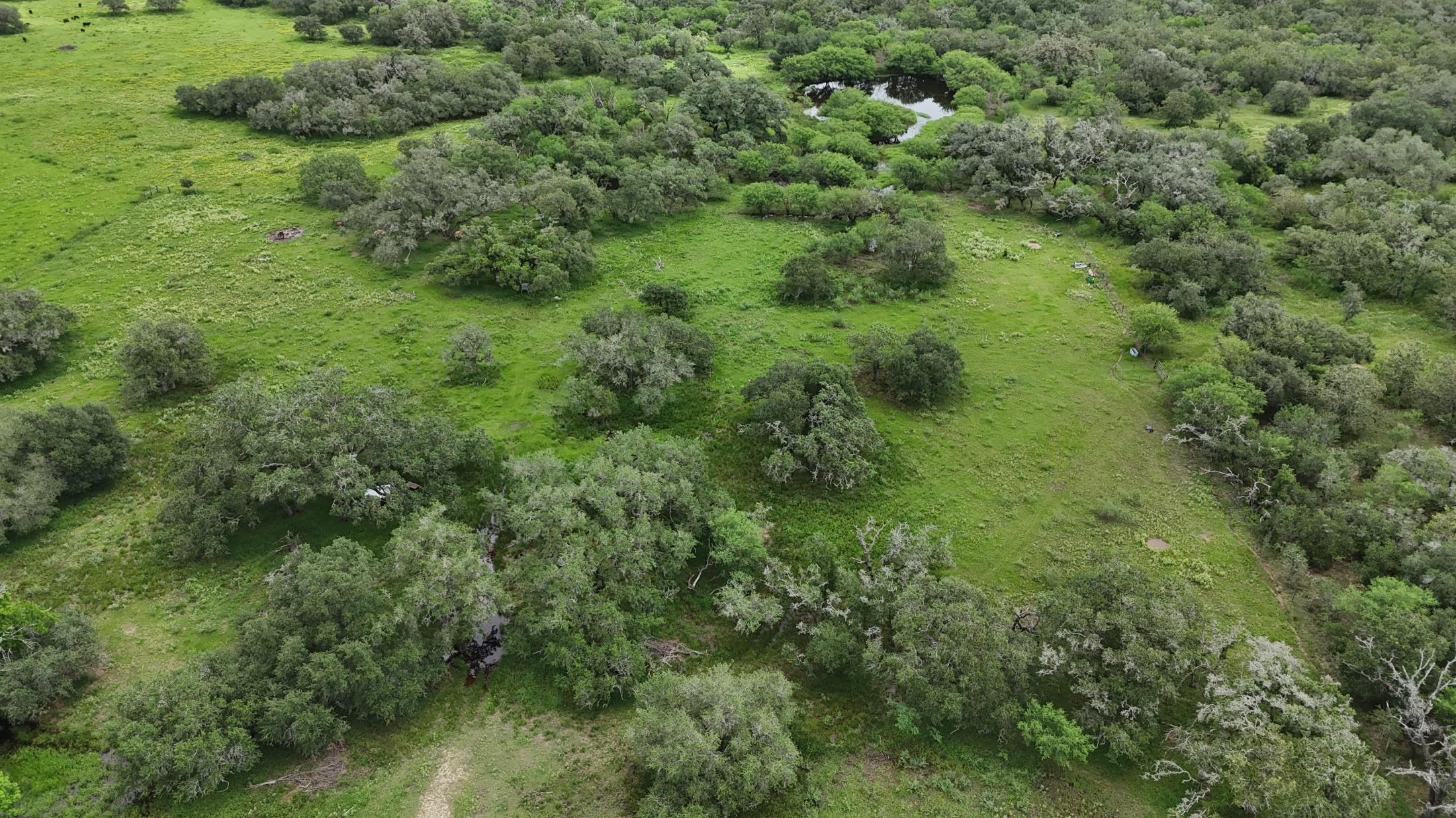 1385 Bego Road Goliad, TX 77963 - Photo 40 of 44 Gallery Image 40