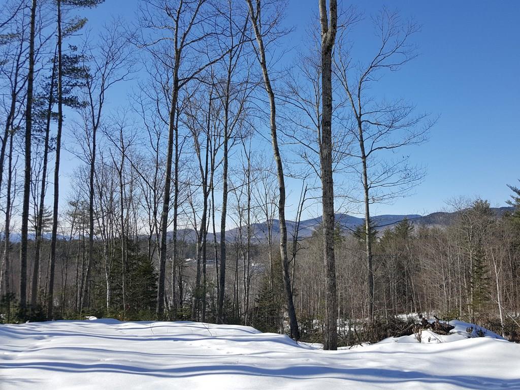 Lot6 Intervale Road Bethel, ME 04217 - Photo 4 of 8 Photo