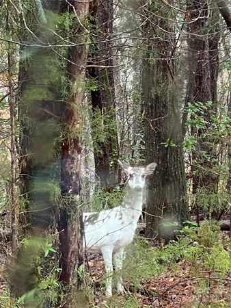 $375,000 | 177 Mountain View Lane, Troy, NC 27371