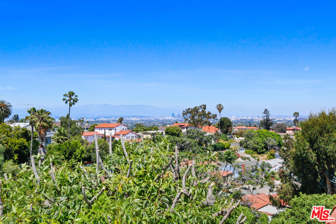 3851 Olympiad Drive View Park, CA 90043 - Photo 35 of 35 a view of a flower