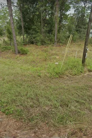 a view of a yard with a tree