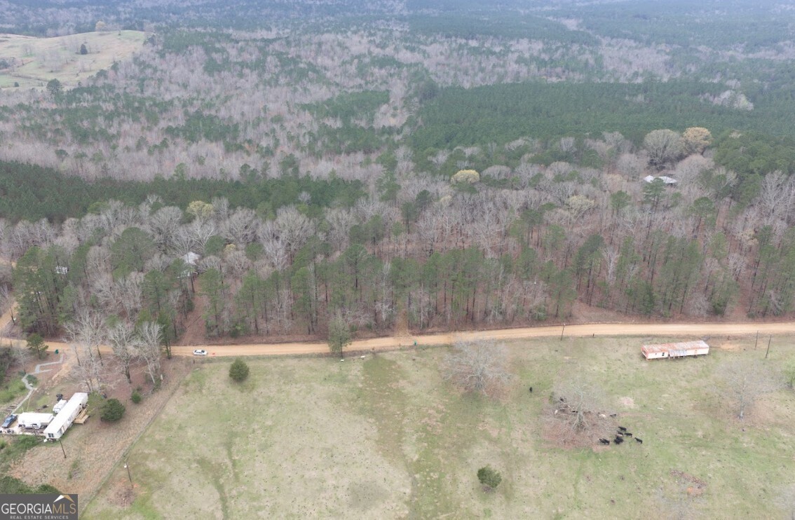 0 Otts Road Fayette, AL 35555 - Photo 11 of 17