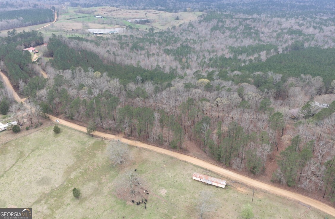 0 Otts Road Fayette, AL 35555 - Photo 12 of 17