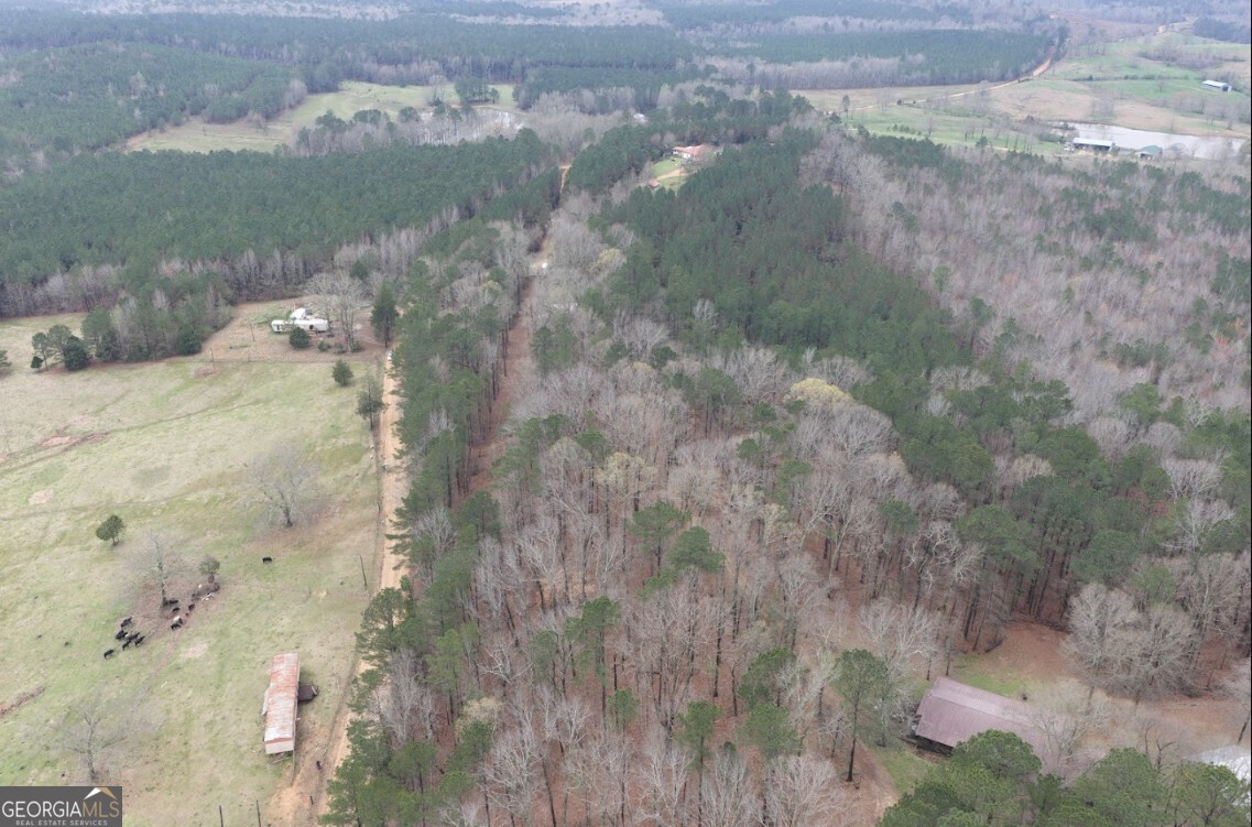 0 Otts Road Fayette, AL 35555 - Photo 14 of 17