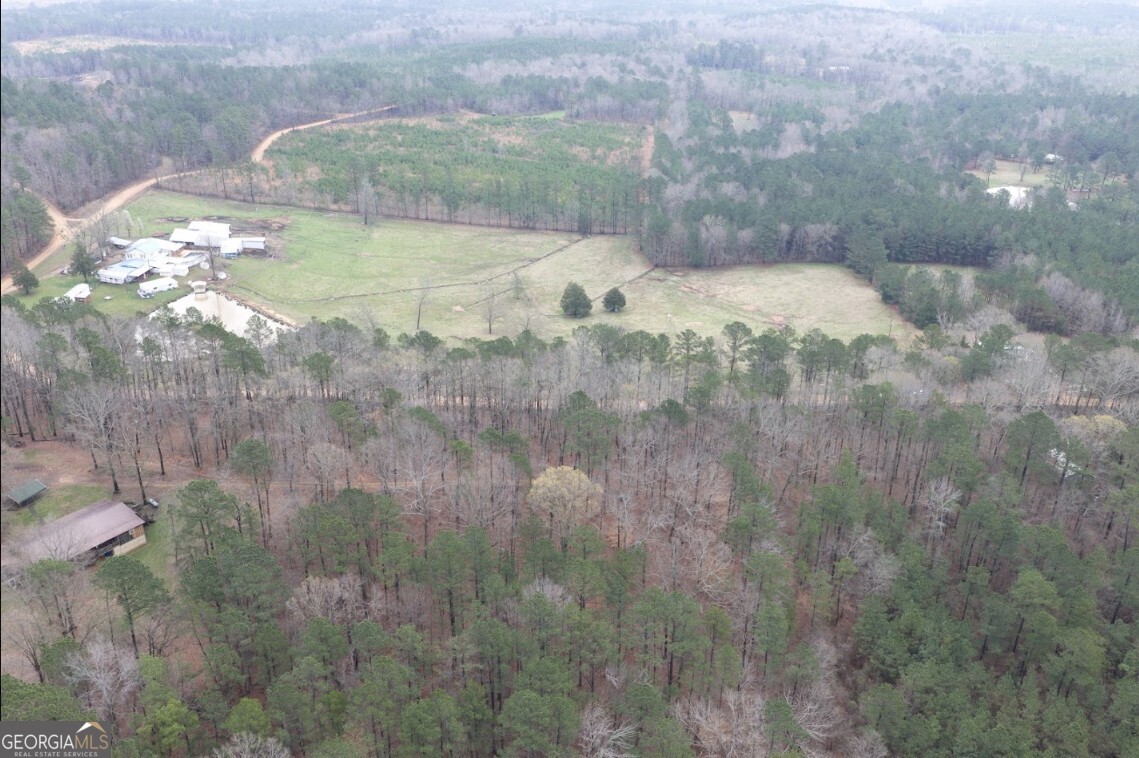 0 Otts Road Fayette, AL 35555 - Photo 15 of 17