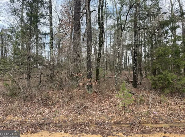 $29,900 | 0 Otts Road, Fayette, AL 35555