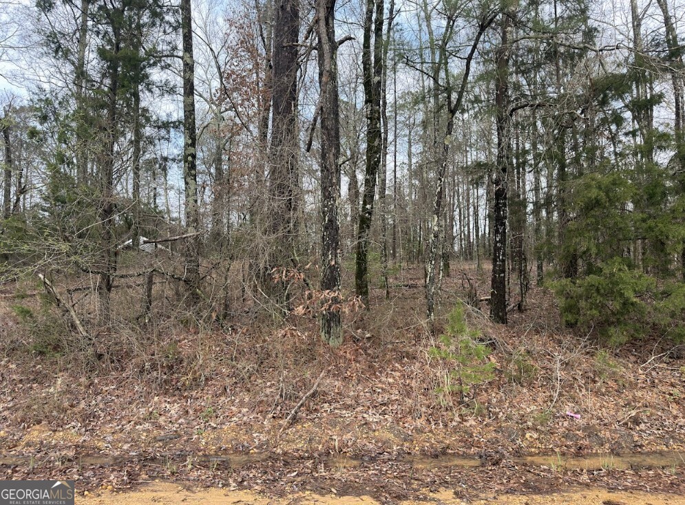 0 Otts Road Fayette, AL 35555 - Photo 2 of 17