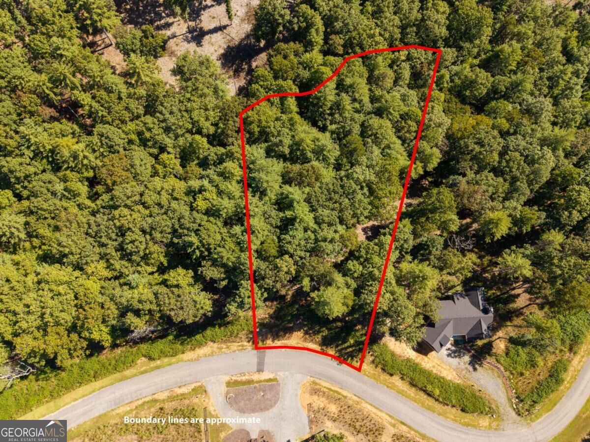 Lot 62 Ridge Drive, Unit 62 Morganton, GA 30560 - Photo 12 of 17 Gallery Image 12
