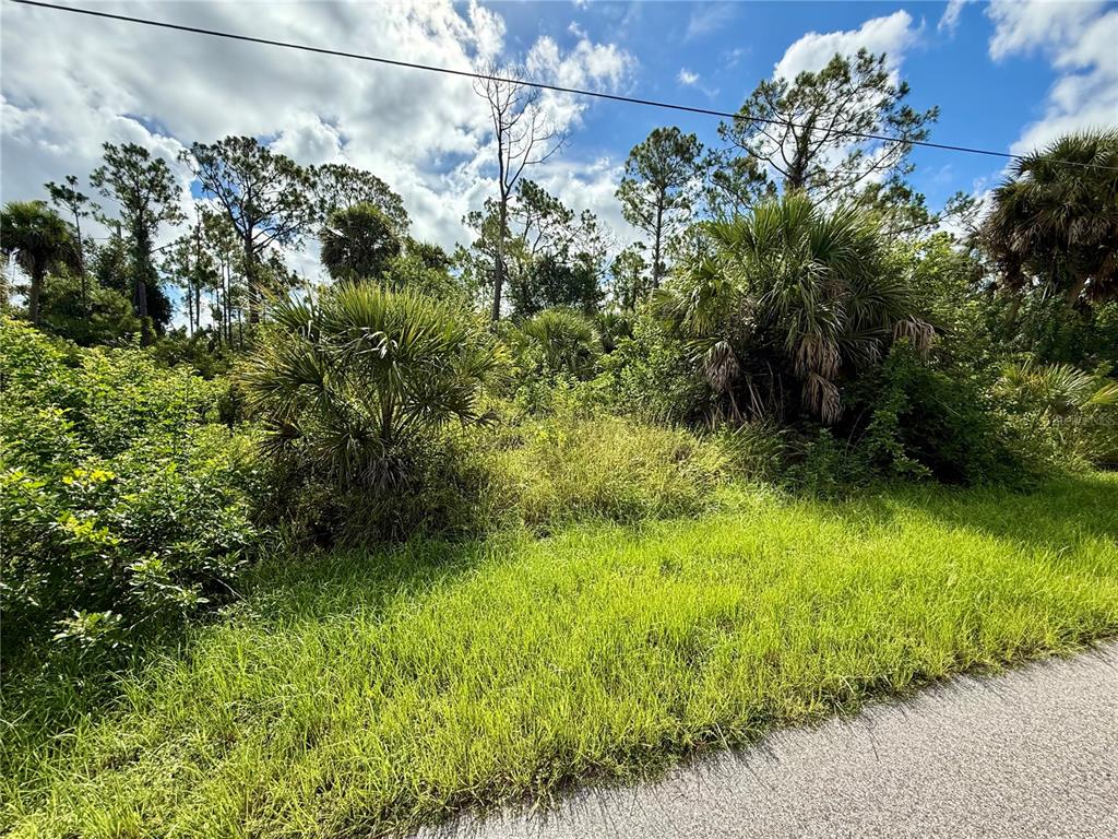 Oceanside St Port North Port, FL 34286 - Photo 1 of 11 a view of a garden