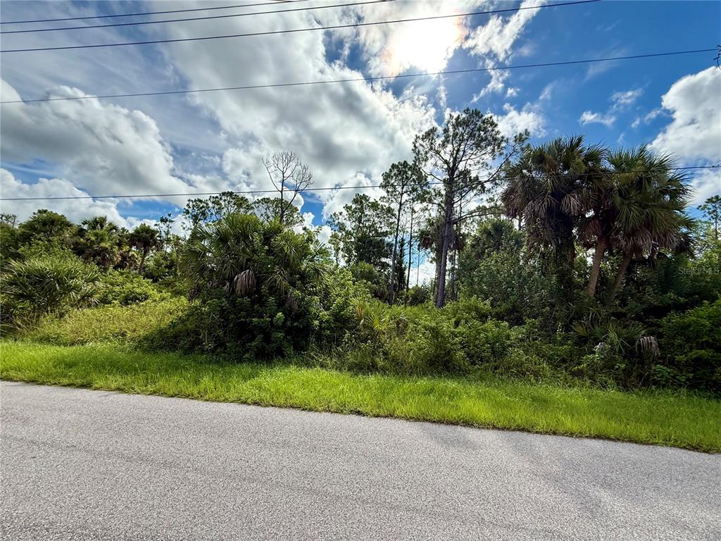 Oceanside St Port North Port, FL 34286 - Photo 6 of 11 a view of a yard with flower plants and large trees