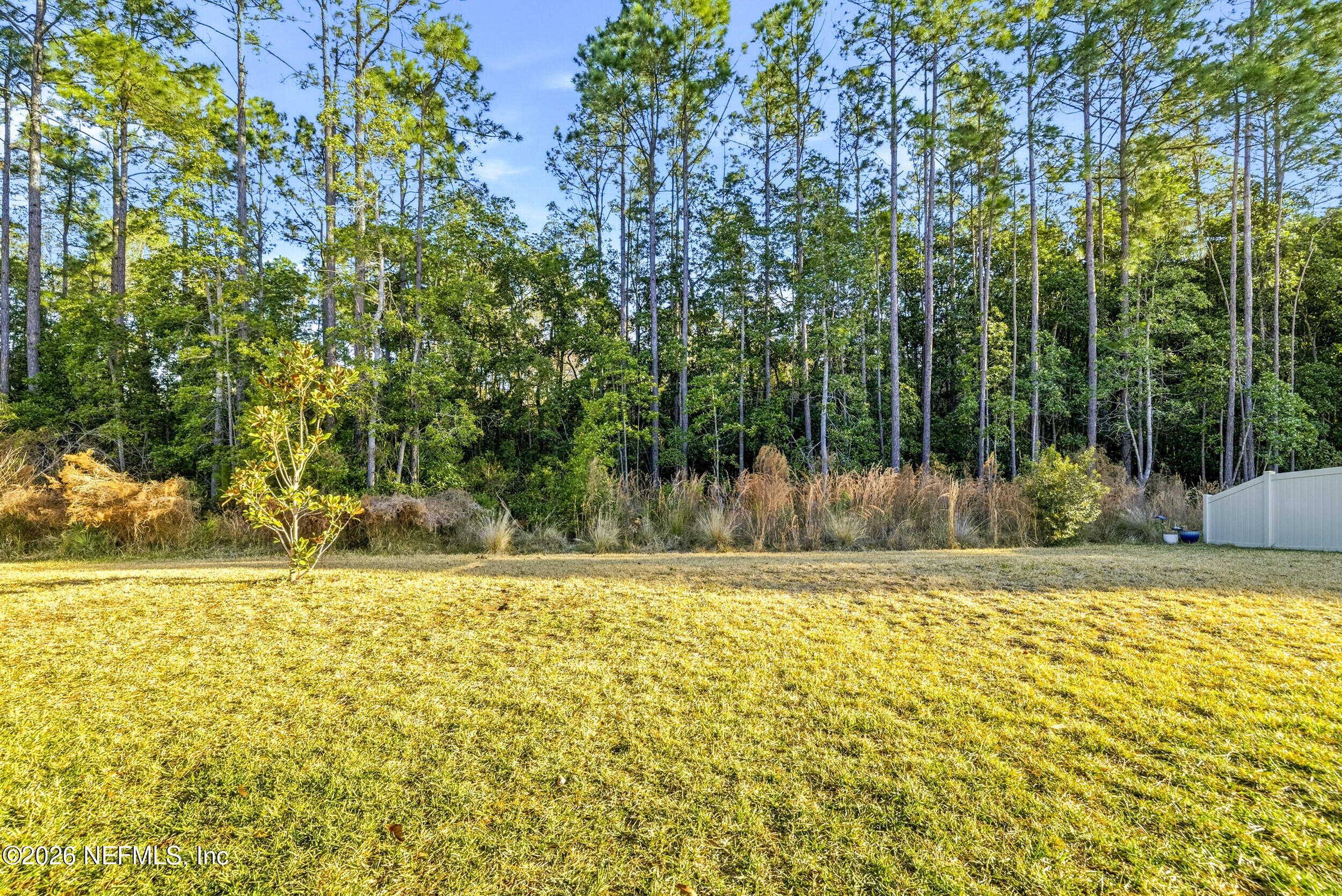75 Wind Chime Lane St. Augustine, FL 32095 - Photo 41 of 59 Serene Backyard Views!