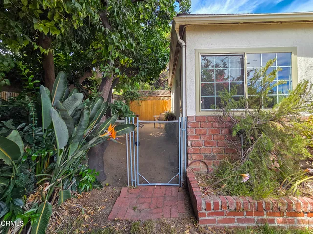 a view of a yard with plants