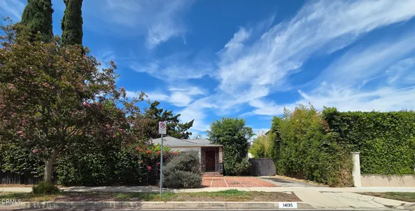 a view of a yard with plants