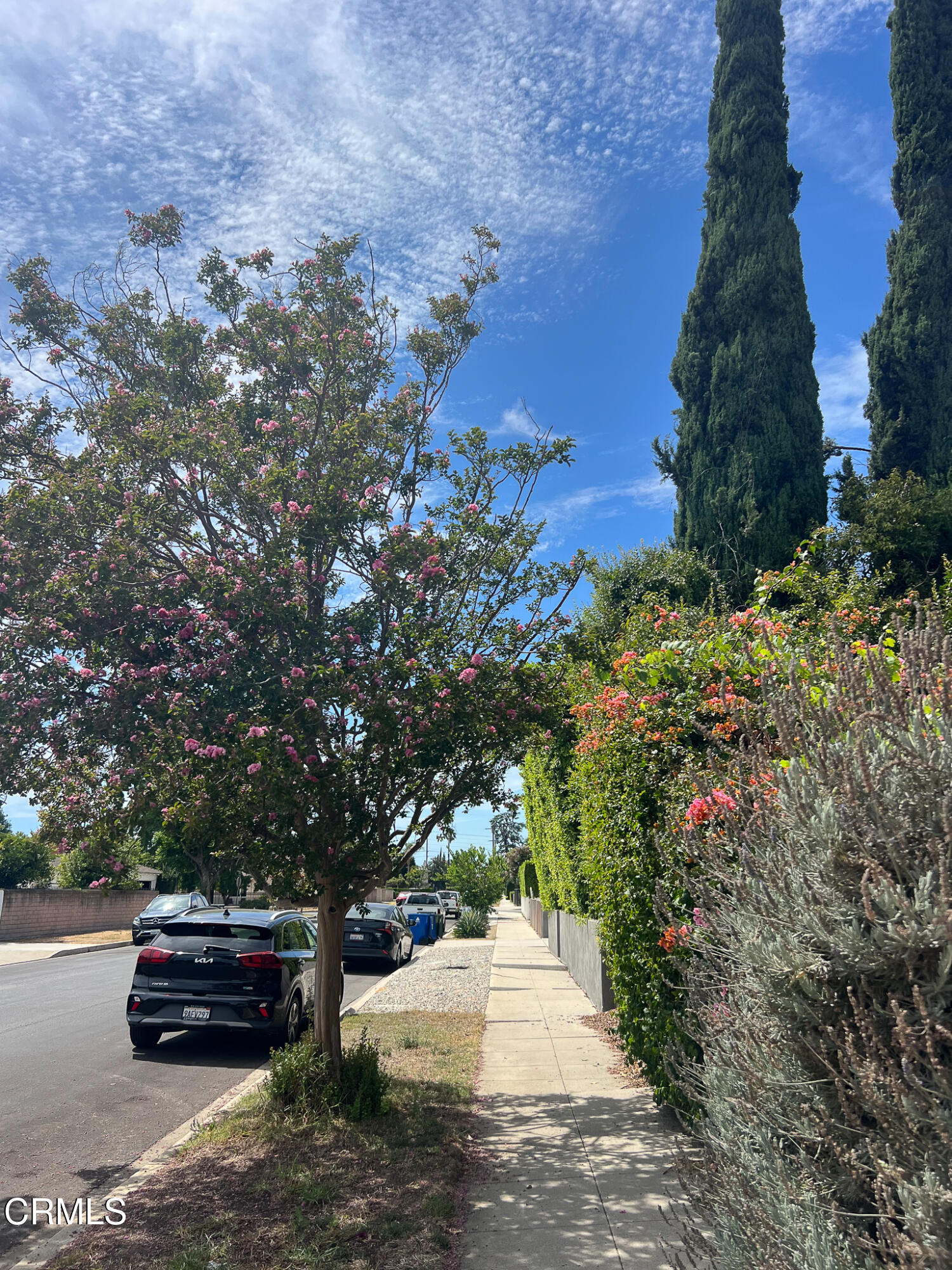 14135 Hatteras Street Sherman Oaks, CA 91401 - Photo 39 of 39 a view of a yard with plants