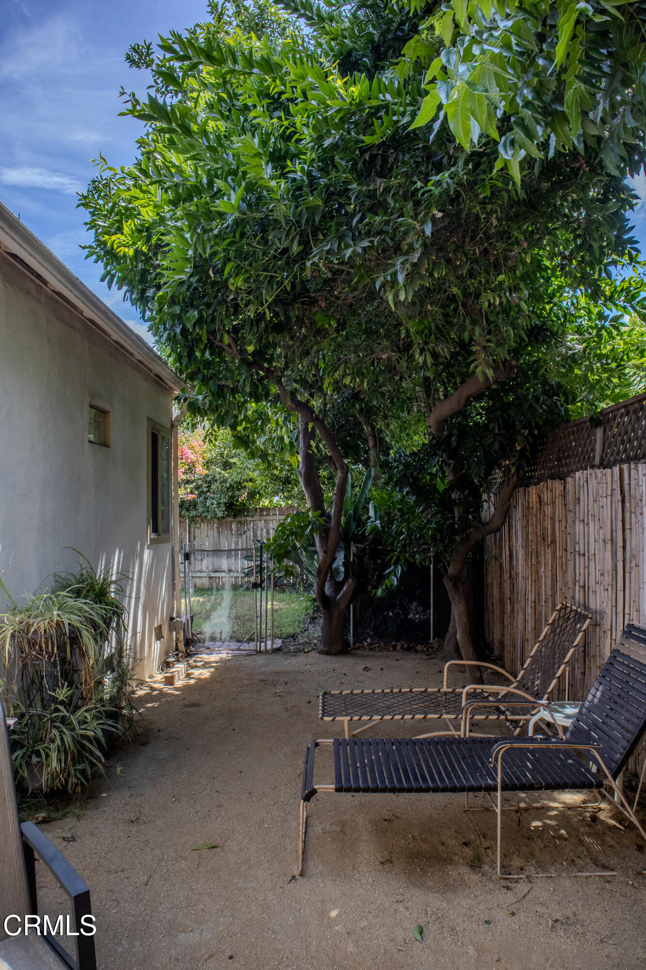 14135 Hatteras Street Sherman Oaks, CA 91401 - Photo 8 of 39 a view of backyard with outdoor seating and trees