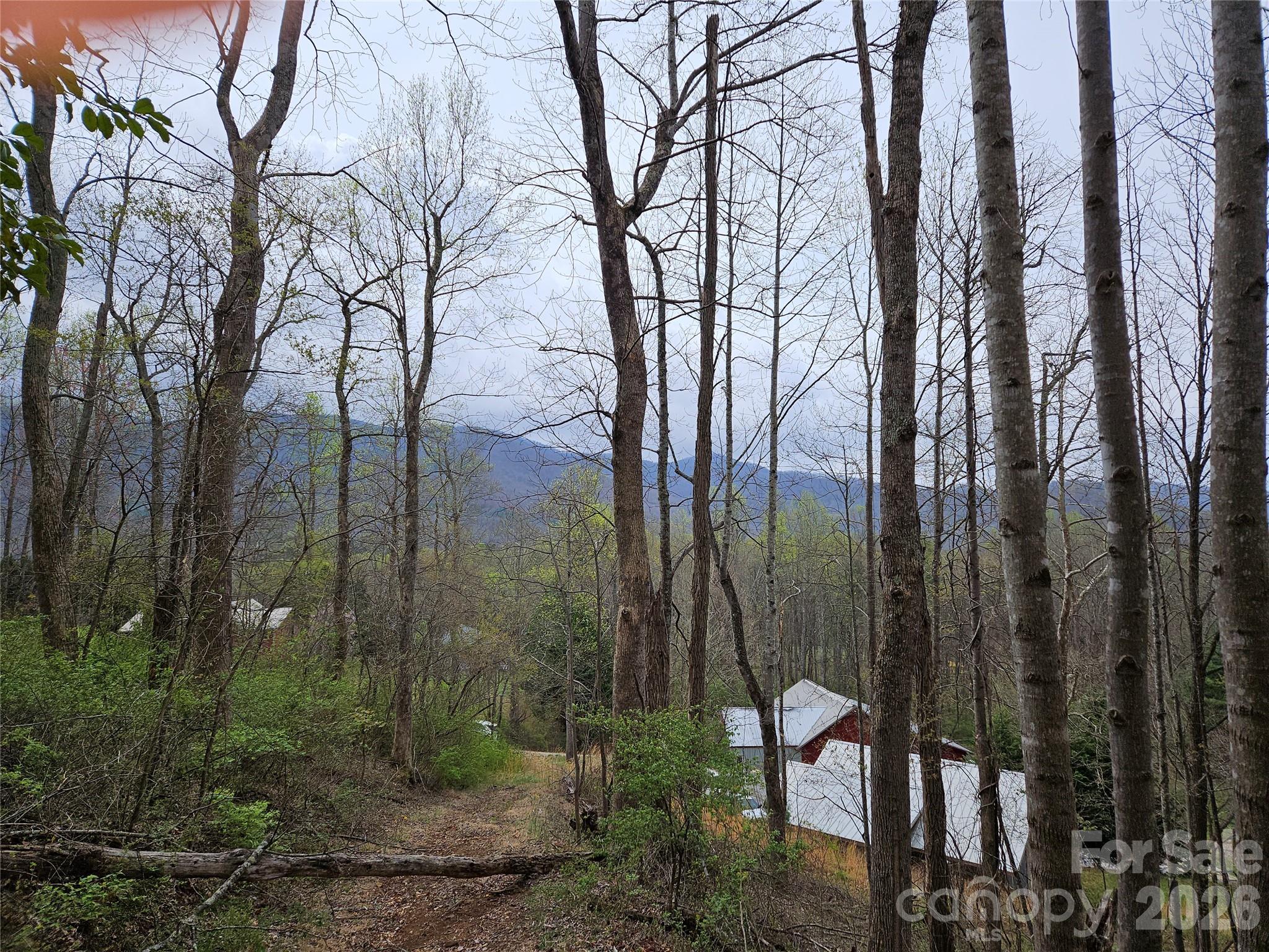 99999 Patton Hill Road, Unit 3 Swannanoa, NC 28778 - Photo 3 of 3