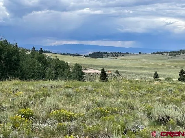 a view of an ocean and beach