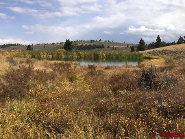a view of a lake with houses in back