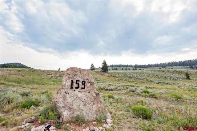 a view of a large body of water with lots of bushes and green space