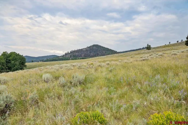 a view of a field with an ocean