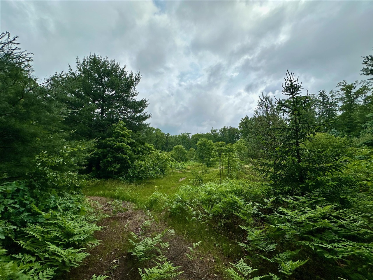 0 South Hilton Park Road Fruitport, MI 49415 - Photo 1 of 4