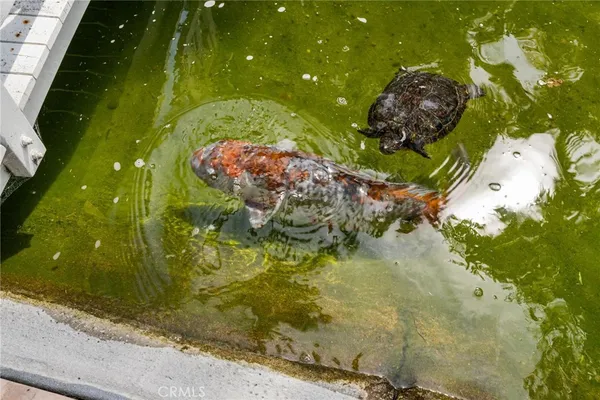 $1,775,000 | 3207 Sangre De Toro, San Clemente, CA 92673