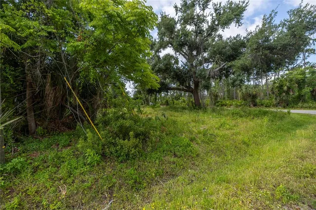 a view of a lush green space
