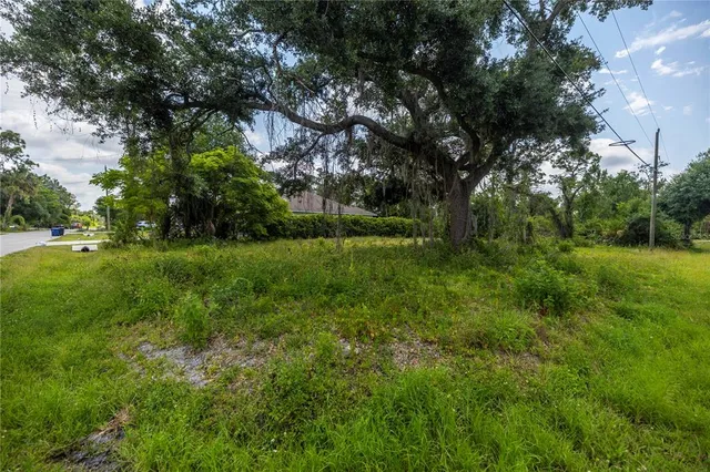 a view of a big yard with large trees
