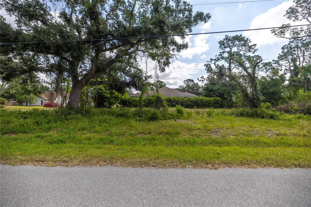 D Allyon Drive North Port, FL 34287 - Photo 5 of 15 a view of a yard with potted plants and large trees