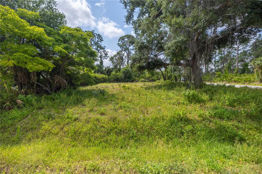 D Allyon Drive North Port, FL 34287 - Photo 7 of 15 a view of outdoor space and trees all around