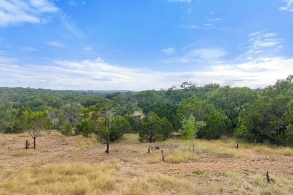 a view of a yard with a tree
