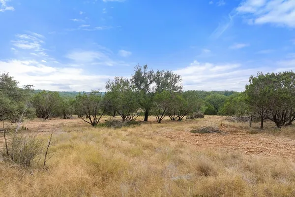a view of a yard with trees in the background