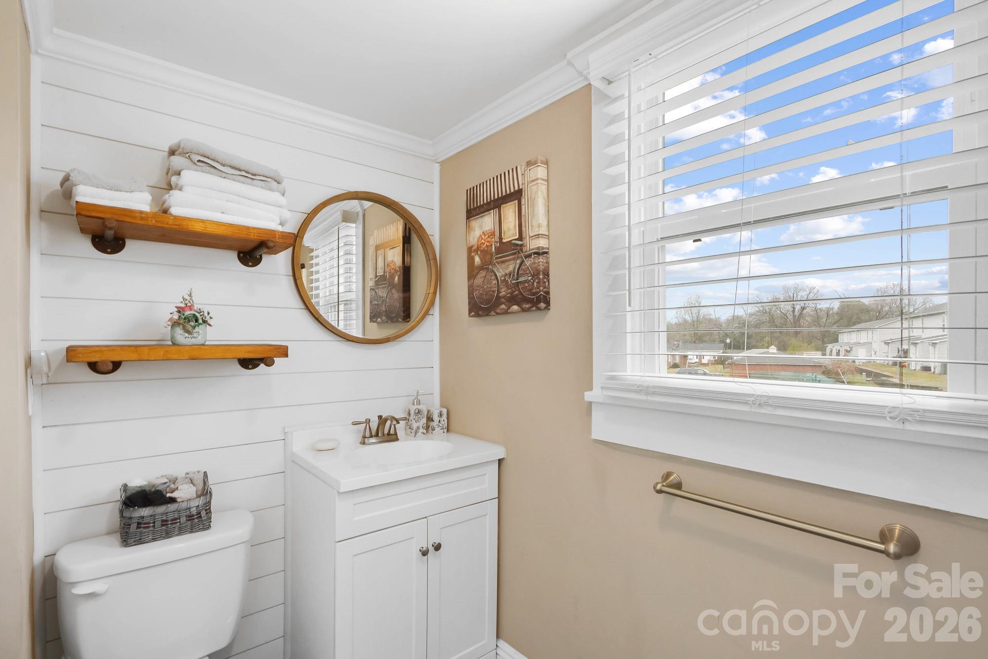 514 Jackson Park Road Kannapolis, NC 28083 - Photo 20 of 48 a bathroom with a toilet a sink and a large mirror