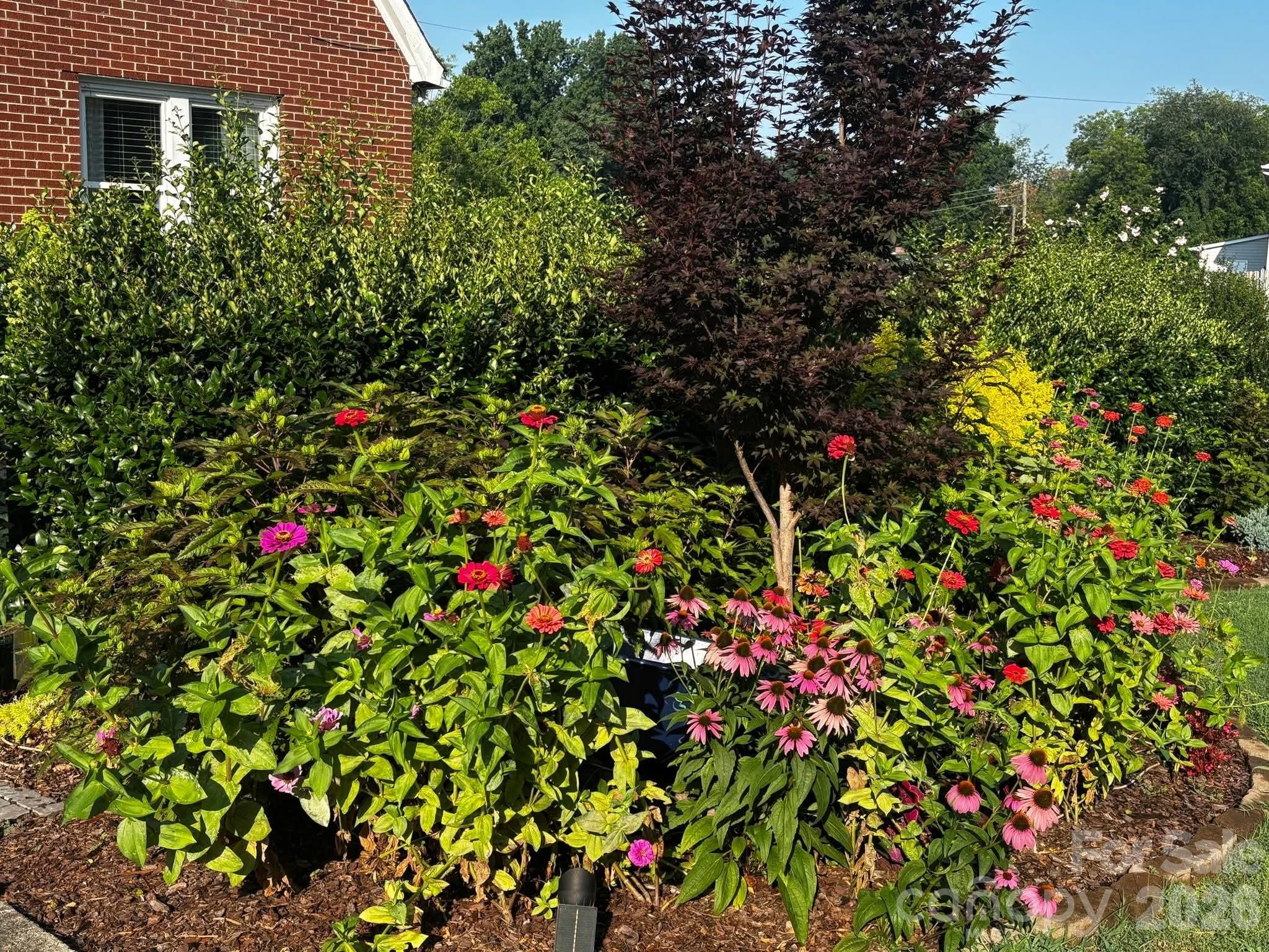 514 Jackson Park Road Kannapolis, NC 28083 - Photo 40 of 48 a flower plants in front of a house