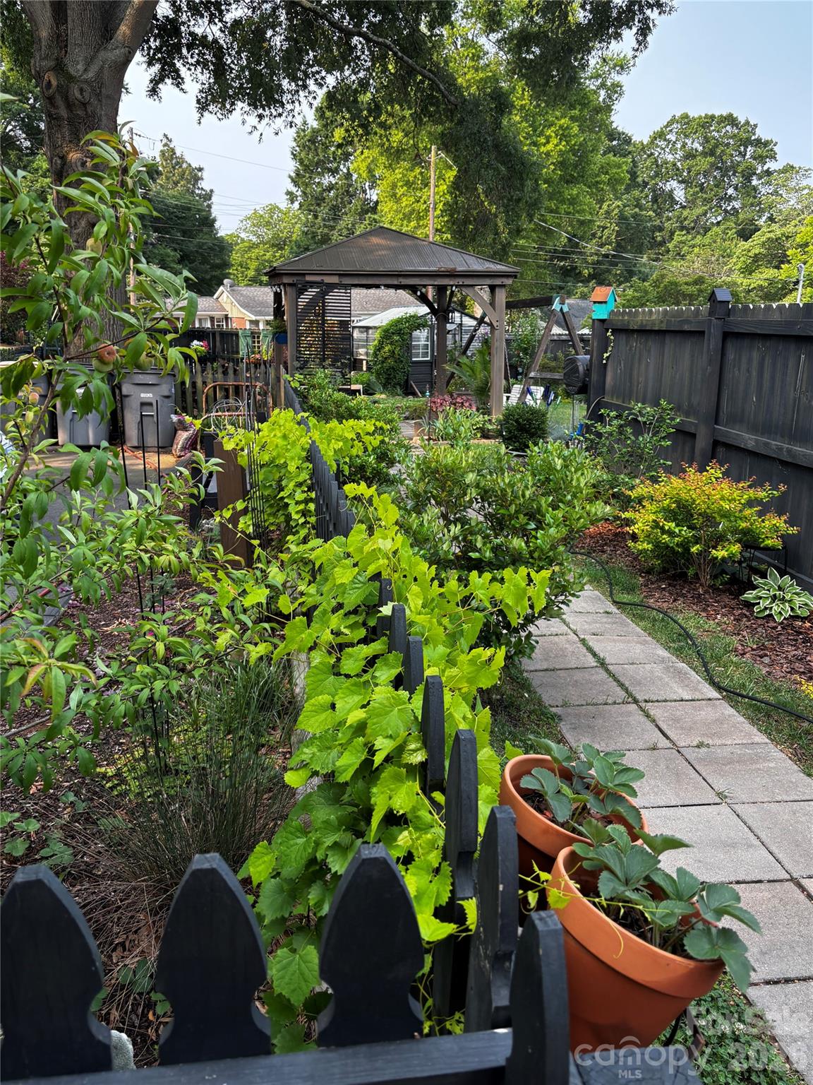 514 Jackson Park Road Kannapolis, NC 28083 - Photo 47 of 48 a view of a garden with plants and wooden fence