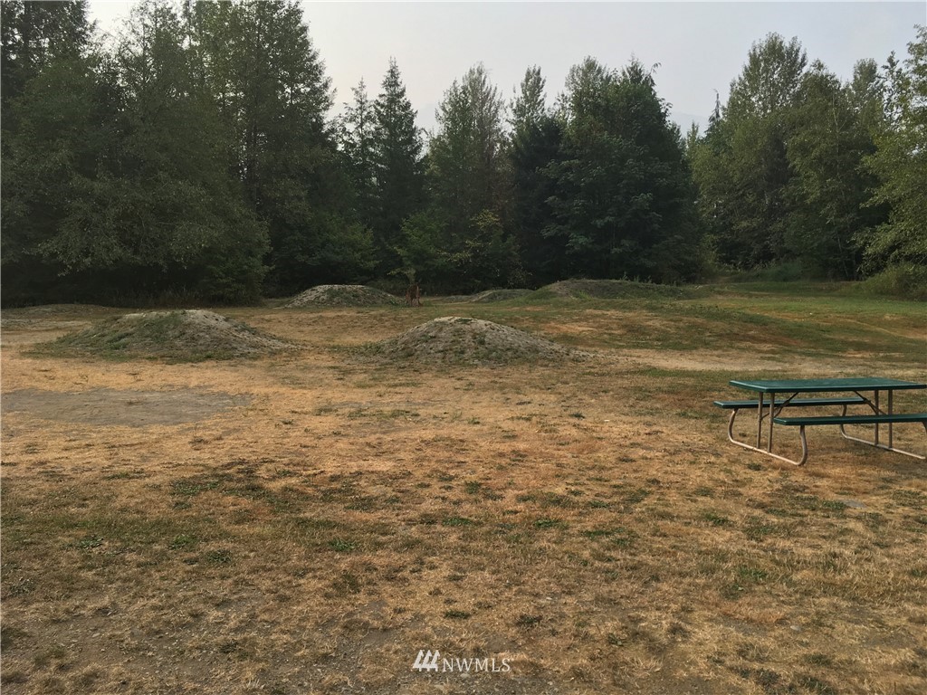 69-1 Goldrush Road Deming, WA 98244 - Photo 22 of 25 Gallery Image 22