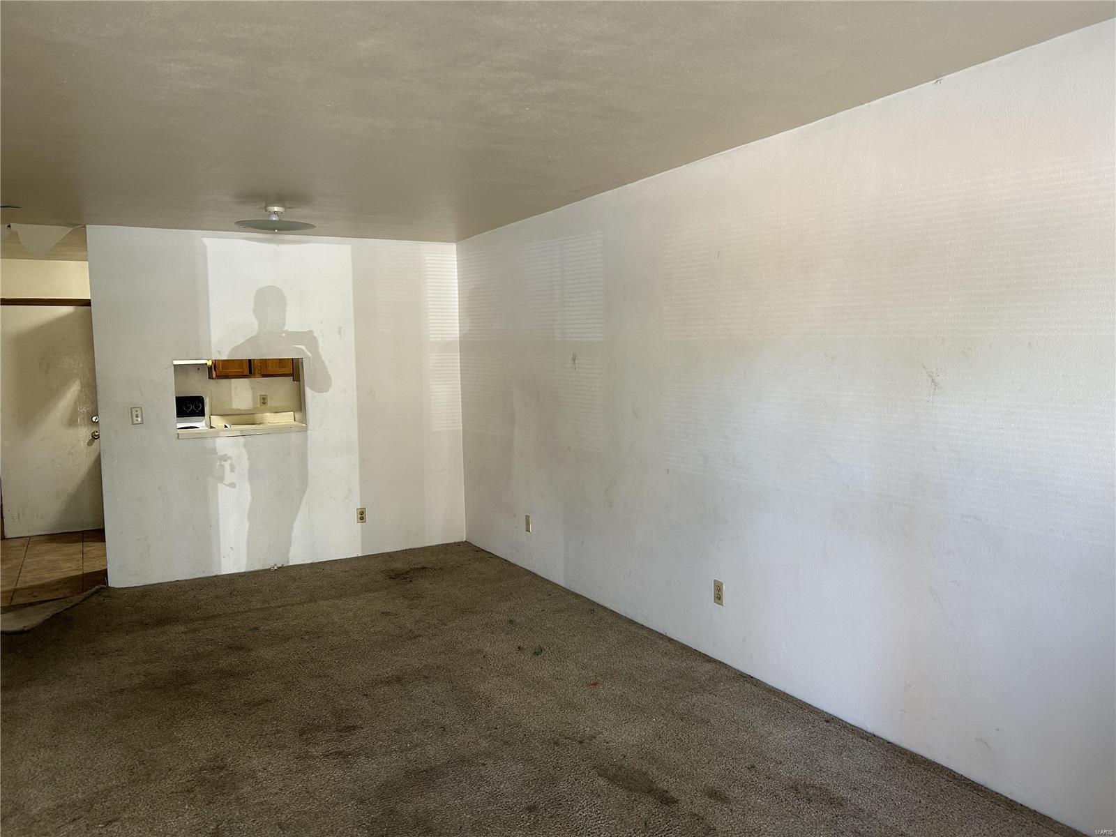 7 Kircher Place Belleville, IL 62220 - Photo 17 of 21